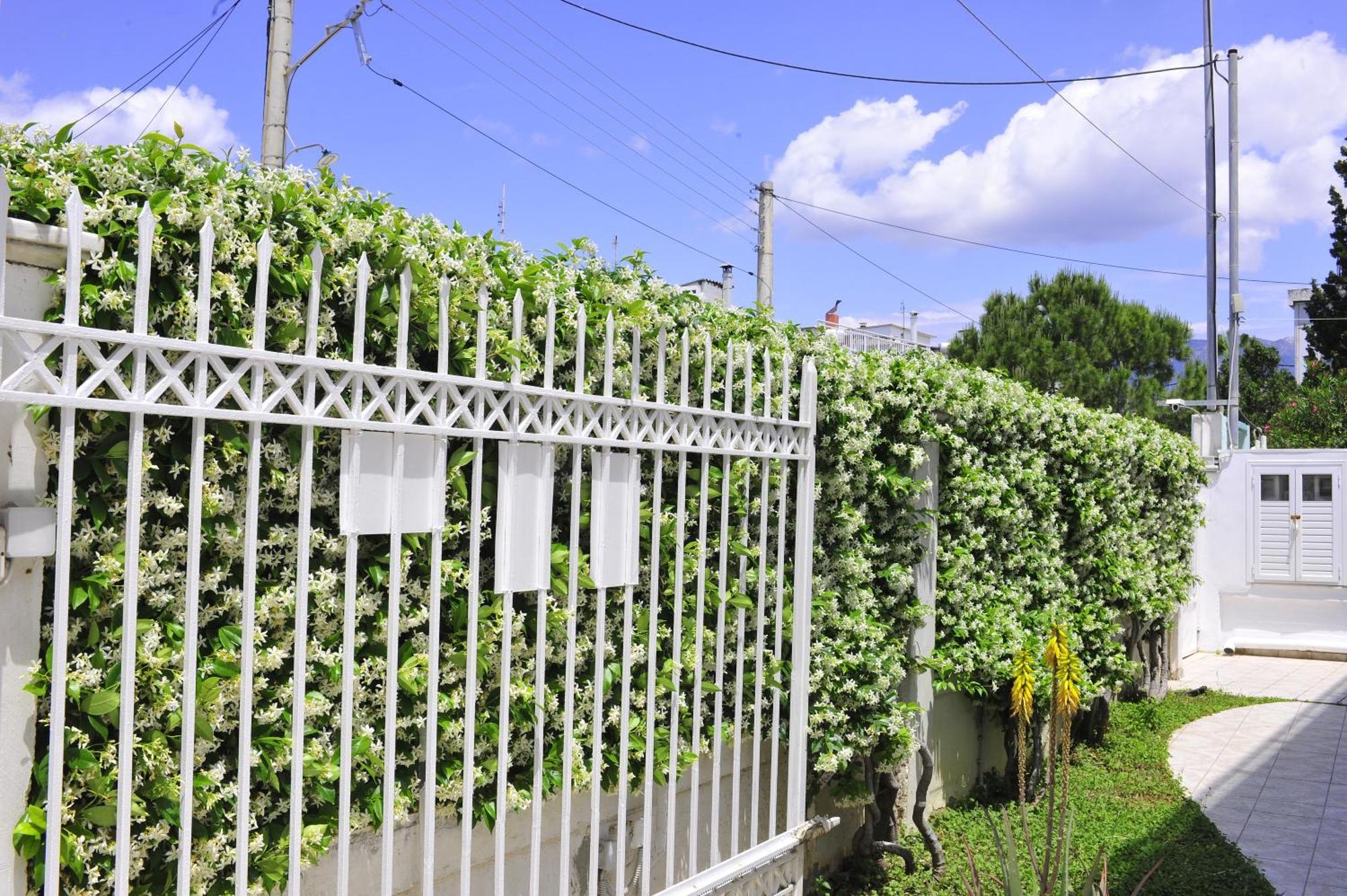 Peloponeese Corinthos Seaside Villa For Short Rent Екстер'єр фото
